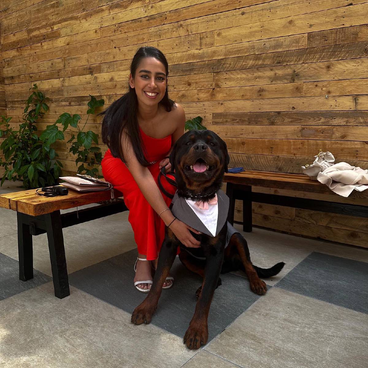 Dog trainer in Crawley and West Sussex